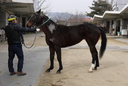 �����÷��� ����