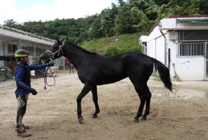 �������� ����