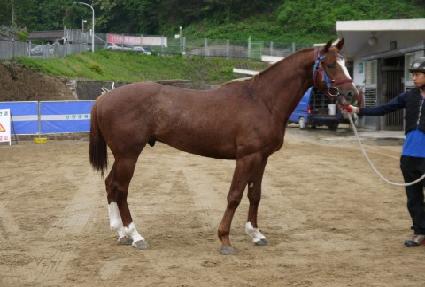 ����Ʈ���� ����