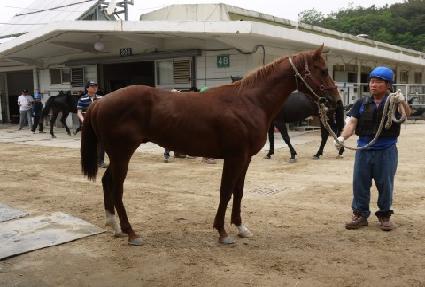 �ݺ����� ����