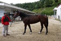 ��Ű���� (MILKY WAY) ����