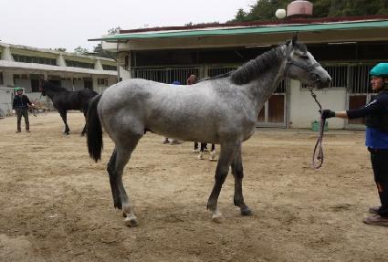 ȭ��ƮŸ�� ����