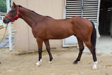 ���ο콺�� ����