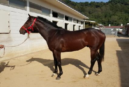 ���Ϻ����̵� ����