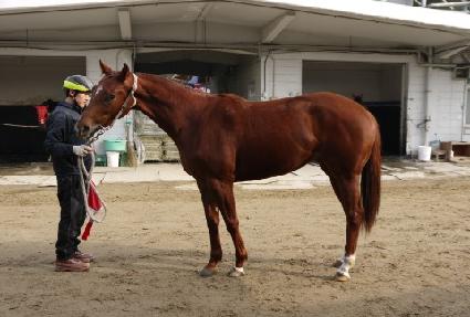 �����ǽ� ����