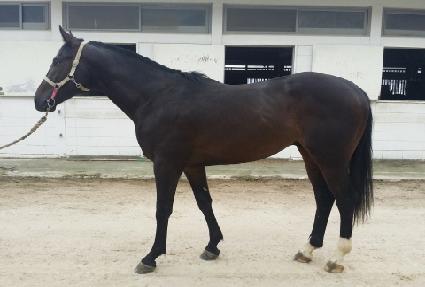 ���ٵ��ĸ� ����