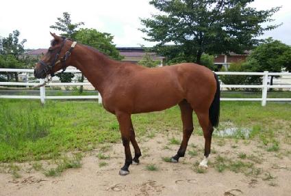 ����ũ��� ����