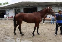 ����Ʈź�� (BEST TANSAENG) ����