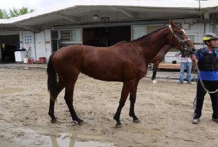 ����Ʈź�� ����