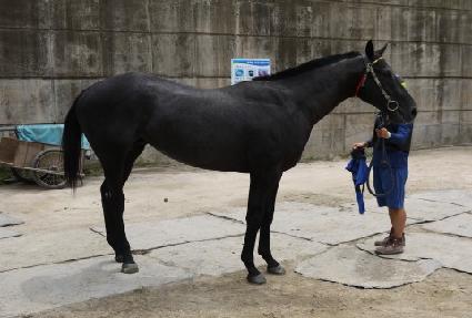 Ʈ���÷�Ű ����