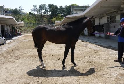 �������� ����