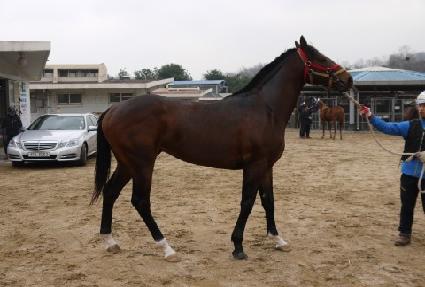 ���װ����� ����