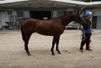 ����Ƽ���� ����