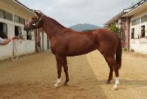 �üҿ��ƼǮ (ALSO BEAUTIFUL) ����