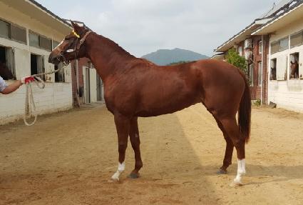 �üҿ��ƼǮ ����