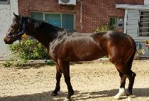 �üҿ����Ǯ (ALSO WONDERFUL) ����