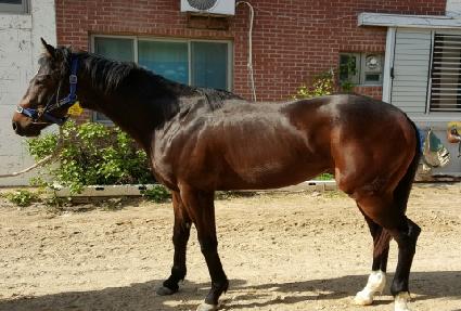 �üҿ����Ǯ ����