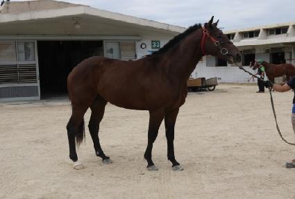 ���̽��� ����