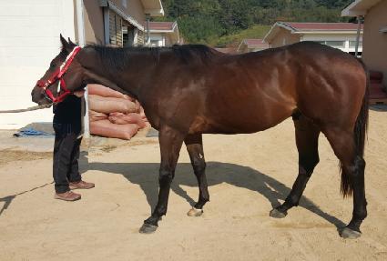 ������ķ�� ����