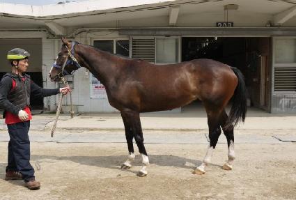 ������ ����