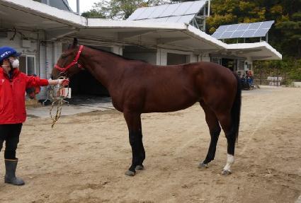 �����Ǻ� ����