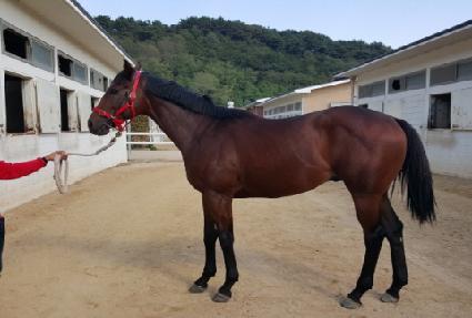 ������Ÿ ����