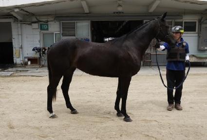 ���ٷε� ����