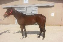 YEONGGWANGUISINHWA picture