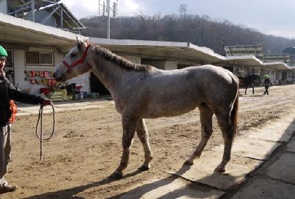 �Ž�Ʈ�� ����