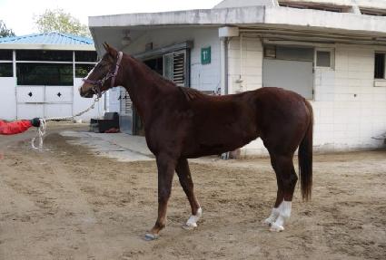 õ�� ����