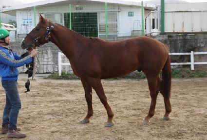 ��ġ�Ӵ� ����