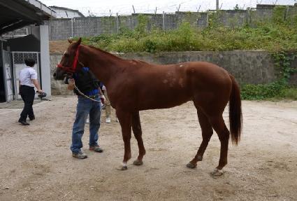 ���ĳ��� ����