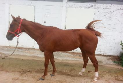 ����ġ�� ����