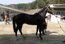 �̷��ֿ� (MIRAE JUYEOK) ����