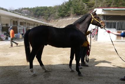 �̷��ֿ� ����