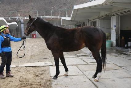 �뺧Ư�� ����