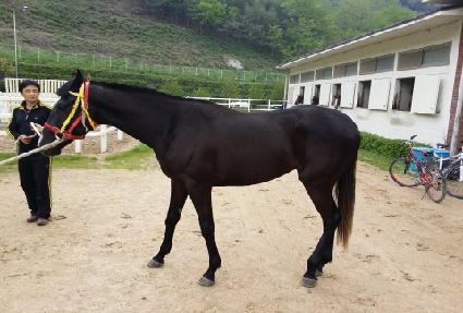 ��ȣ�� ����