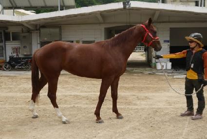 ����� ����