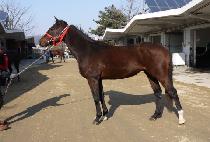 ������ (TWO KAY) ����