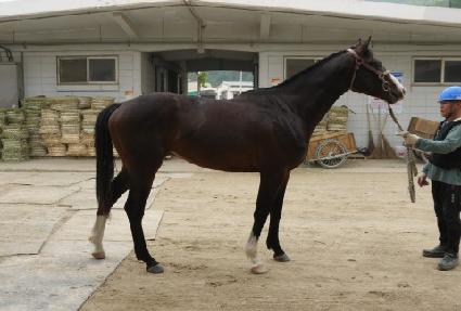 ����÷��� ����