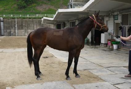 �̷�õ�� ����