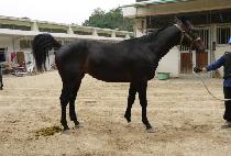 �뱺���� (DAEGUN MAMA) ����