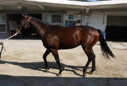 ��Ŭ�����޸� ����