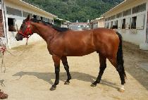 ���̽��� (MEISTER) ����