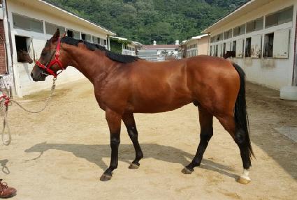 ���̽��� ����