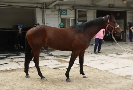 ����ŰŰ ����