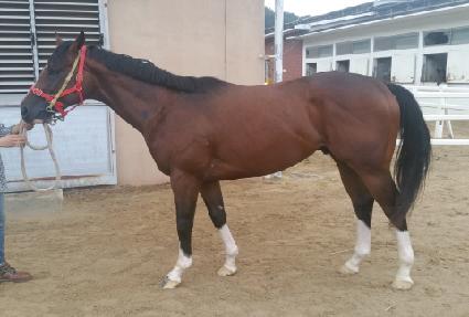 ��ŰŸ�� ����