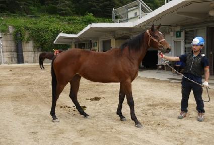 ���� ����