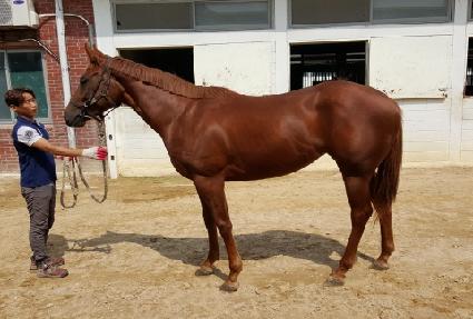 ŷ����ũ�� ����