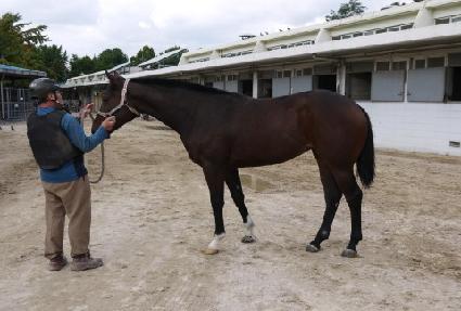 ���� ����